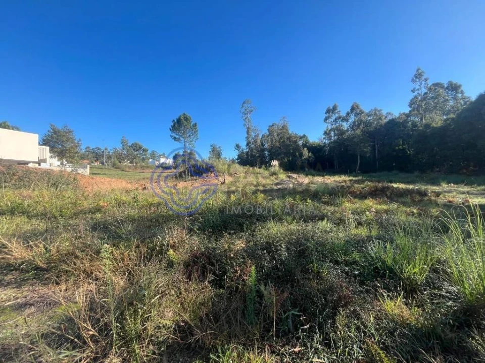 Terreno para Venda em São Miguel do Souto e Mosteirô Foto 2
