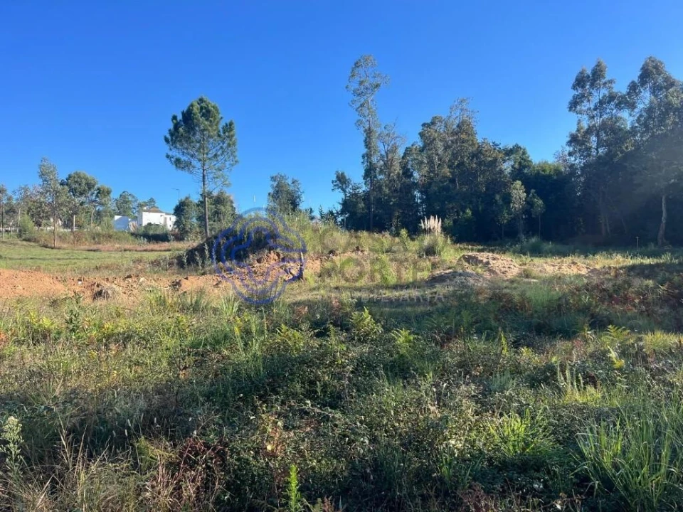 Terreno para Venda em São Miguel do Souto e Mosteirô Foto 1