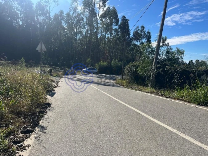 Terreno para Venda em São Miguel do Souto e Mosteirô Foto 3