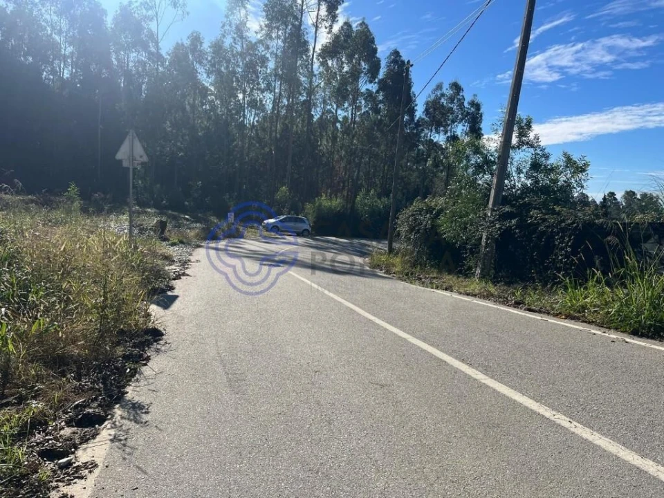Terreno para Venda em São Miguel do Souto e Mosteirô Foto 3