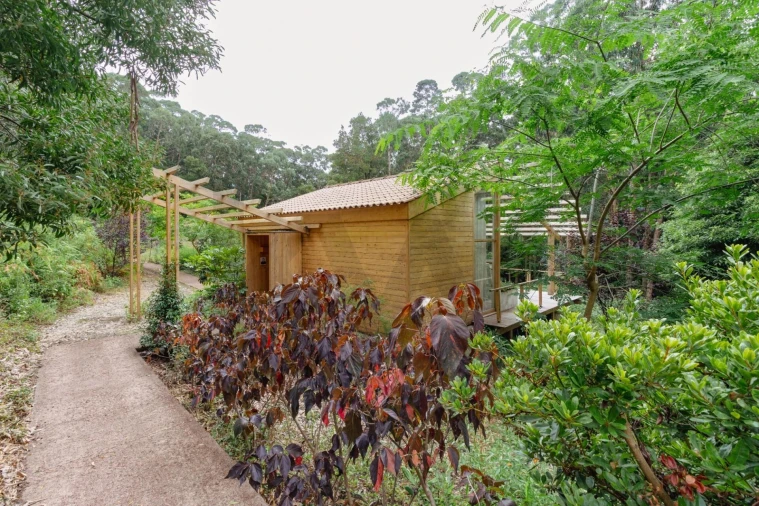 Prédio para Venda em Urzelina (São Mateus) Foto 14