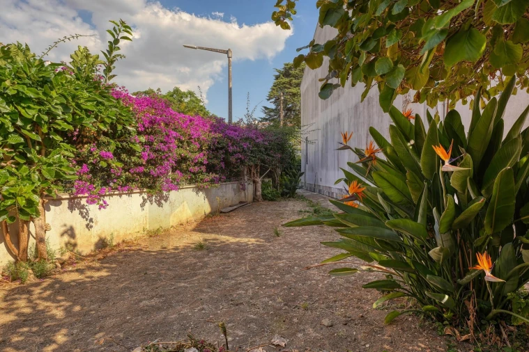 Moradia T4 para Venda em Carcavelos e Parede Foto 4