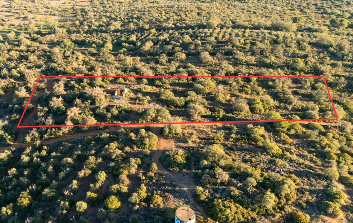Terreno para Venda em Ferreiras Foto 3
