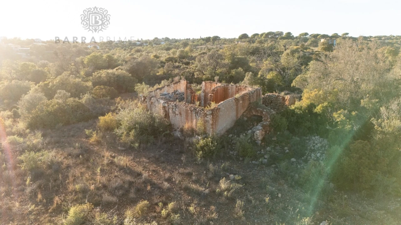 Terreno para Venda em Ferreiras Foto 5