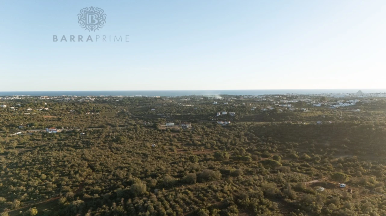 Terreno para Venda em Ferreiras Foto 8