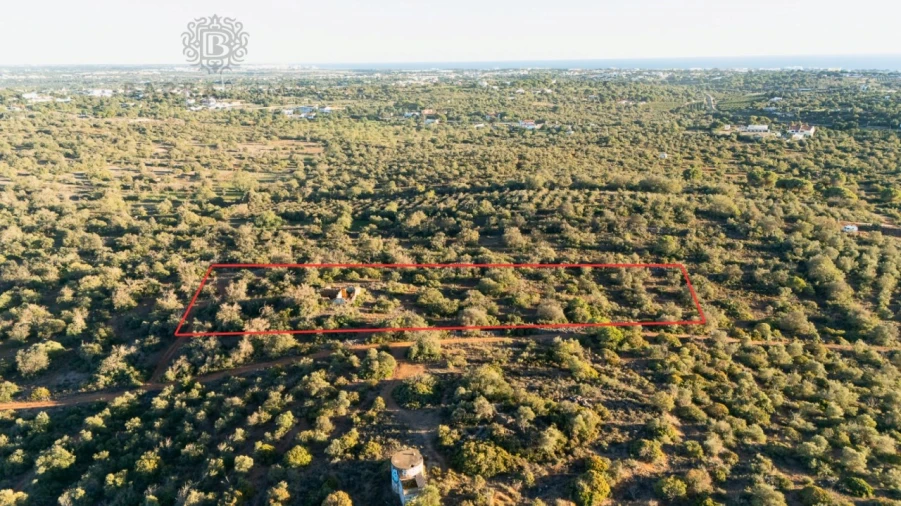 Terreno para Venda em Ferreiras