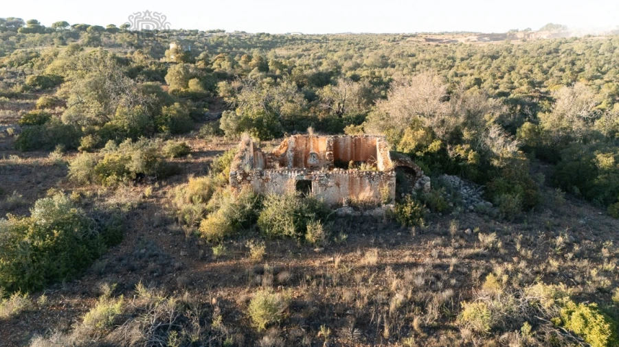 Terreno para Venda em Ferreiras Foto 4