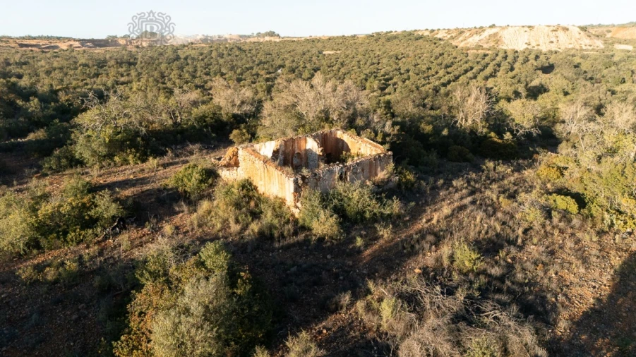 Terreno para Venda em Ferreiras Foto 6