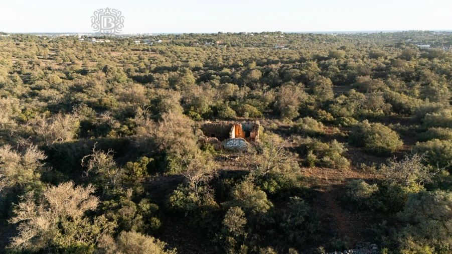 Terreno para Venda em Ferreiras Foto 7