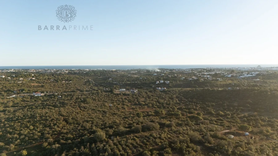 Terreno para Venda em Ferreiras Foto 8