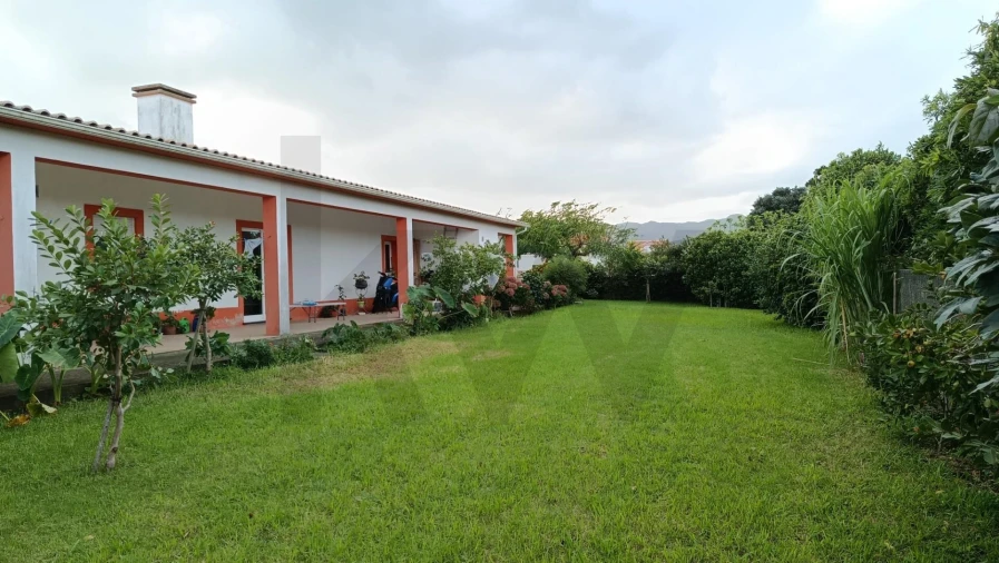 Moradia T3 para Venda em Lajes Foto 28