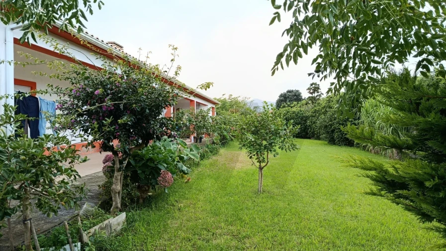 Moradia T3 para Venda em Lajes Foto 30