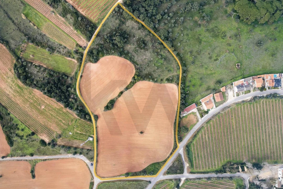 Terreno para Venda em Abrigada e Cabanas de Torres Foto 5