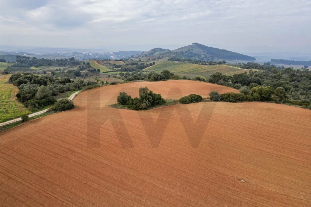 Terreno para Venda em Abrigada e Cabanas de Torres Foto 20
