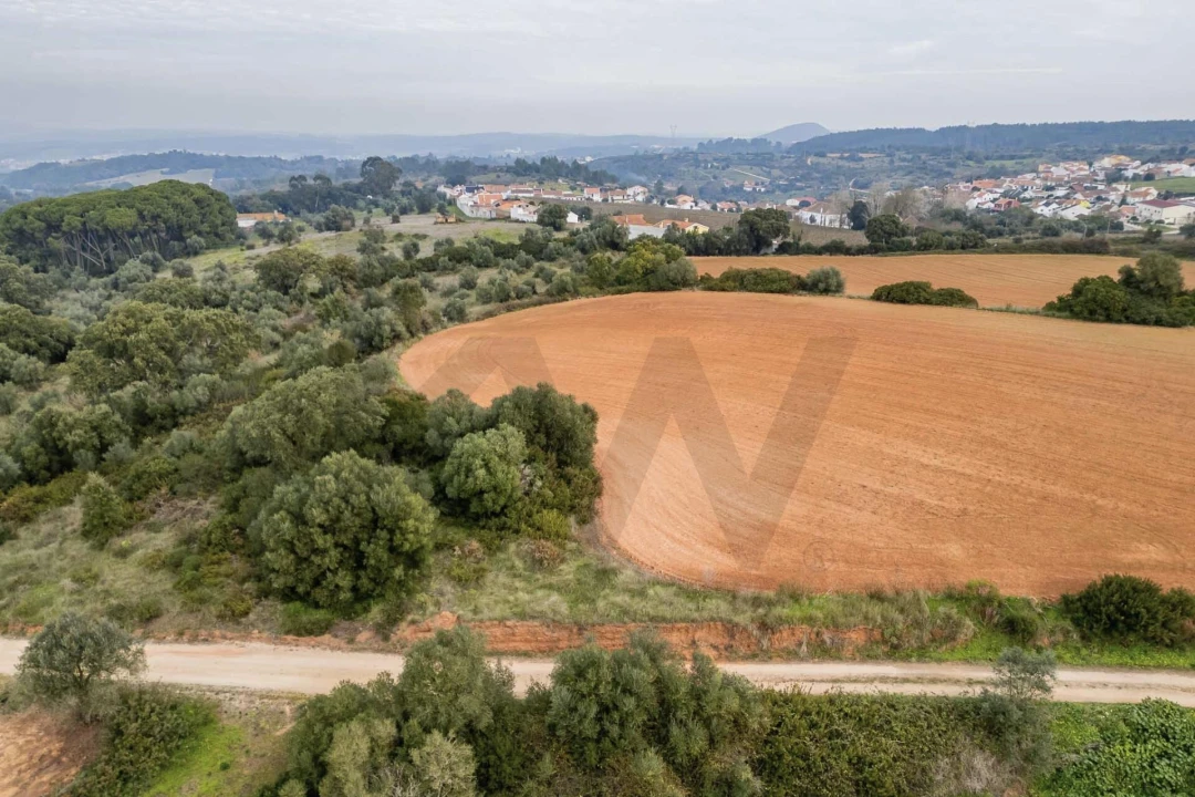 Terreno para Venda em Abrigada e Cabanas de Torres Foto 16