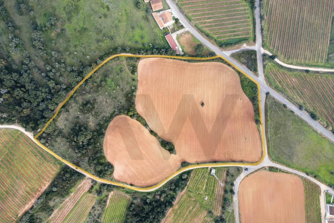 Terreno para Venda em Abrigada e Cabanas de Torres Foto 3