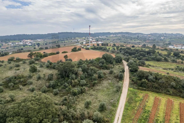 Terreno para Venda em Abrigada e Cabanas de Torres Foto 15