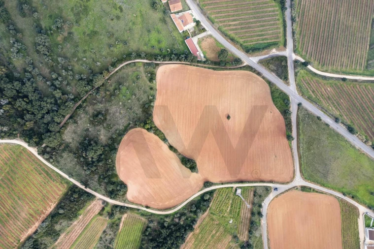 Terreno para Venda em Abrigada e Cabanas de Torres