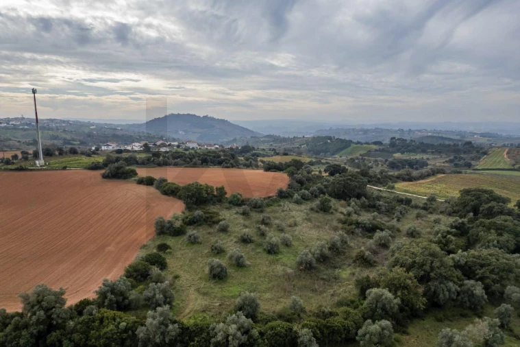 Terreno para Venda em Abrigada e Cabanas de Torres Foto 12