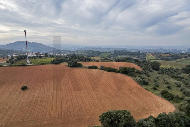 Terreno para Venda em Abrigada e Cabanas de Torres Foto 11