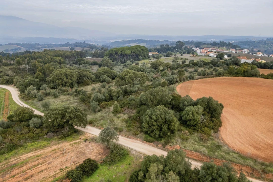 Terreno para Venda em Abrigada e Cabanas de Torres Foto 17