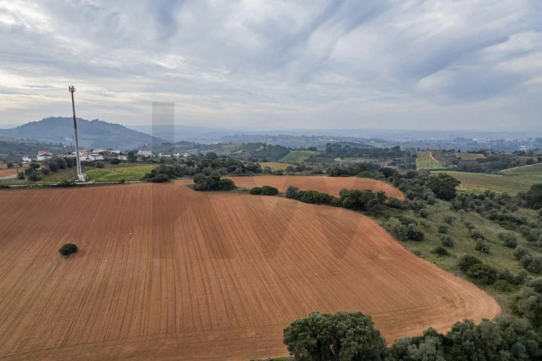 Terreno para Venda em Abrigada e Cabanas de Torres Foto 11