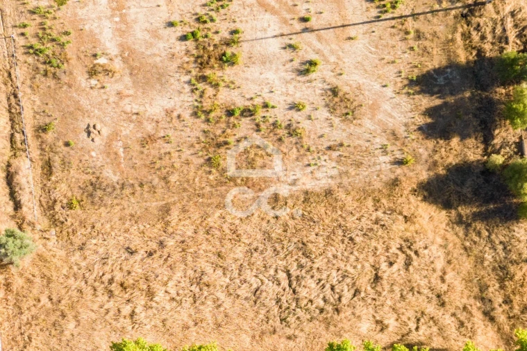 Terreno para Venda em Malagueira e Horta das Figueiras Foto 9