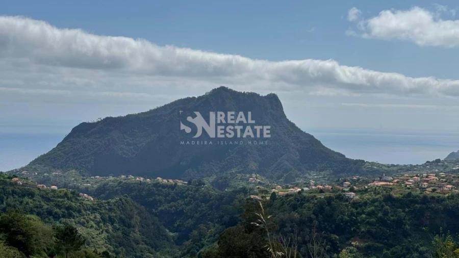 Moradia T1 para Venda em Faial Foto 4