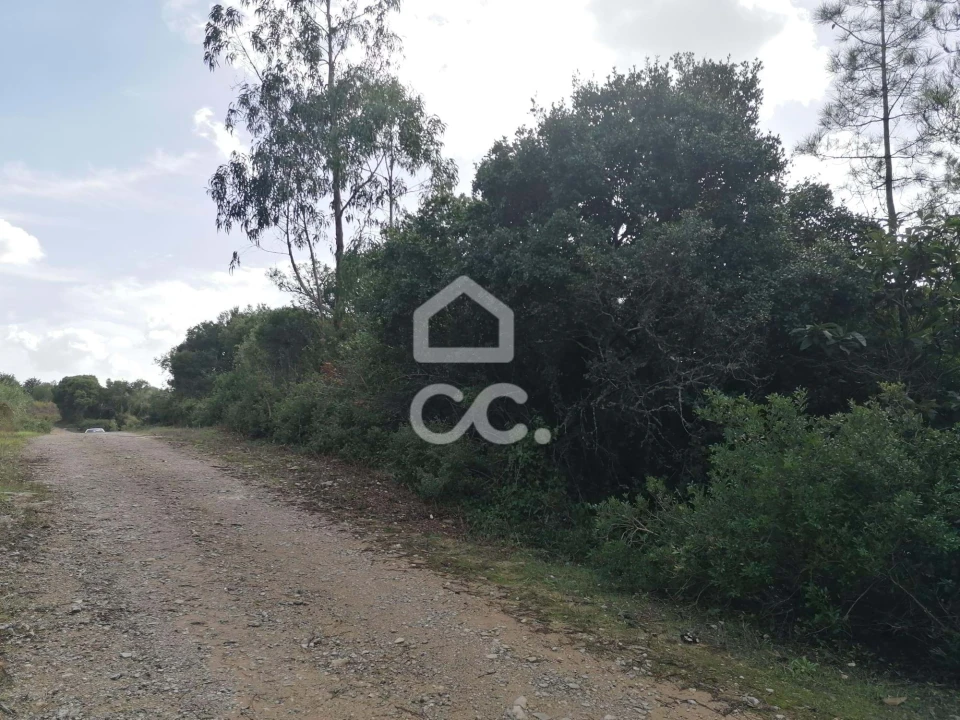 Terreno para Venda em Usseira Foto 4