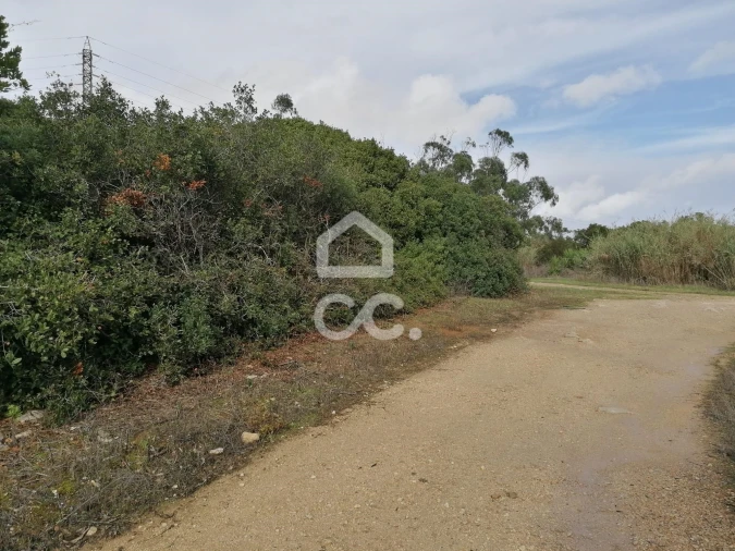 Terreno para Venda em Usseira Foto 7