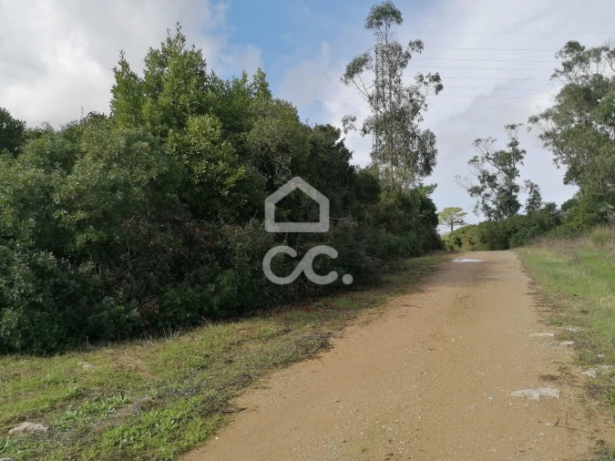 Terreno para Venda em Usseira Foto 3