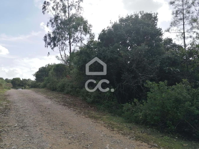 Terreno para Venda em Usseira Foto 4