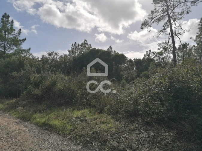 Terreno para Venda em Usseira Foto 5