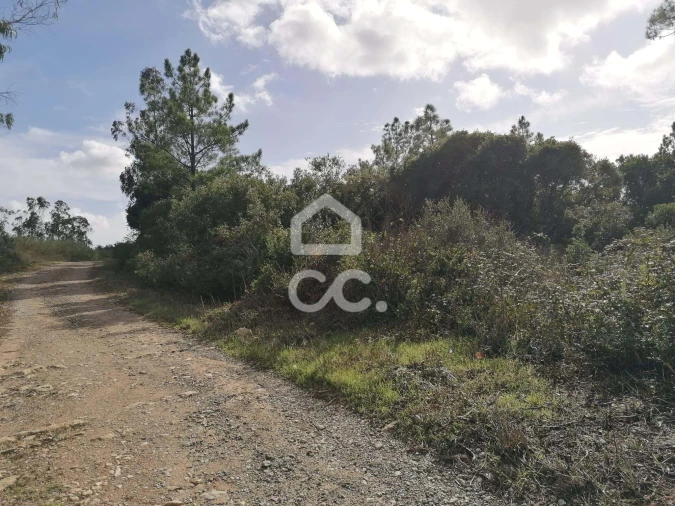 Terreno para Venda em Usseira Foto 6