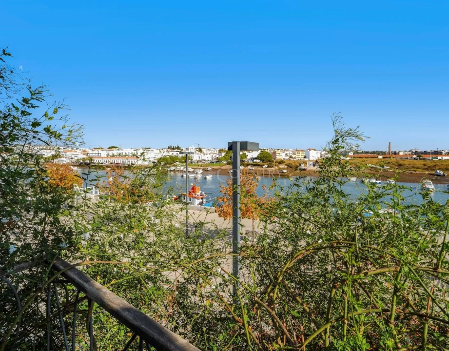 Negócio para Venda em Tavira (Santa Maria e Santiago) Foto 18