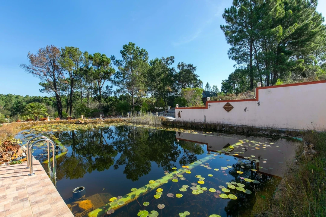 Quinta T4 para Venda em Rogil Foto 6