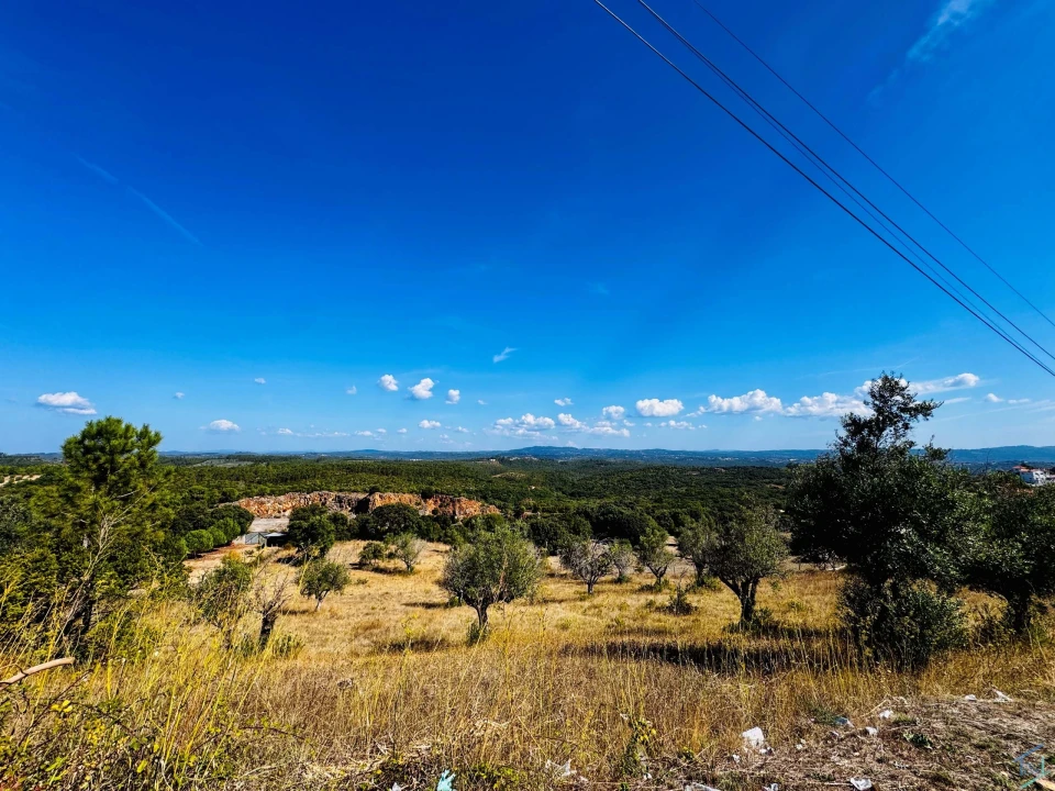 Terreno Agricola ou Rústico para Venda em Carregueiros Foto 15