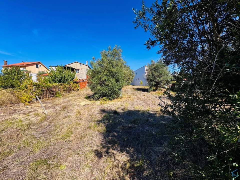 Terreno Agricola ou Rústico para Venda em Carregueiros Foto 9