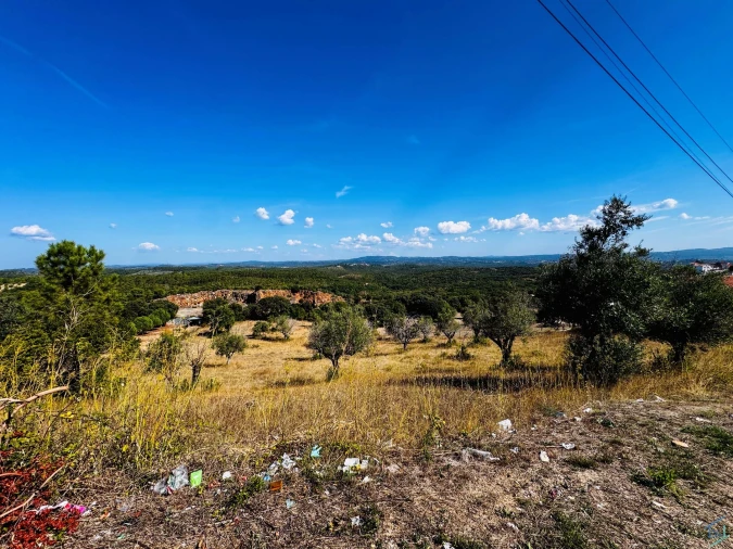 Terreno Agricola ou Rústico para Venda em Carregueiros Foto 3