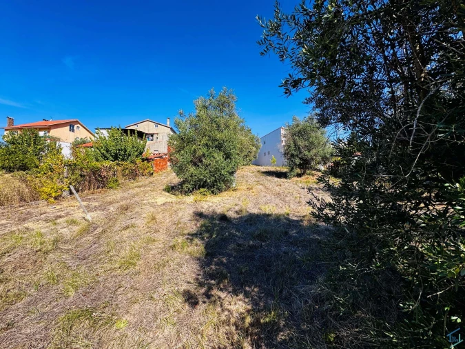 Terreno Agricola ou Rústico para Venda em Carregueiros Foto 9