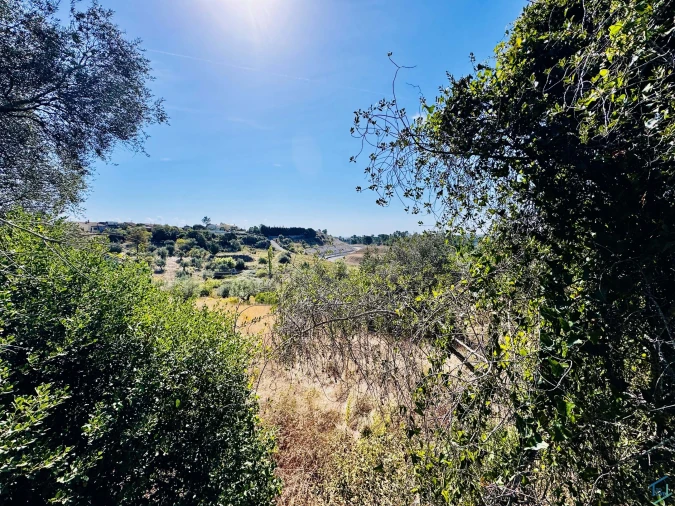 Terreno Agricola ou Rústico para Venda em Carregueiros Foto 8