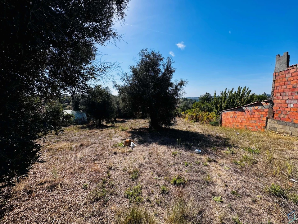 Terreno Agricola ou Rústico para Venda em Carregueiros Foto 5