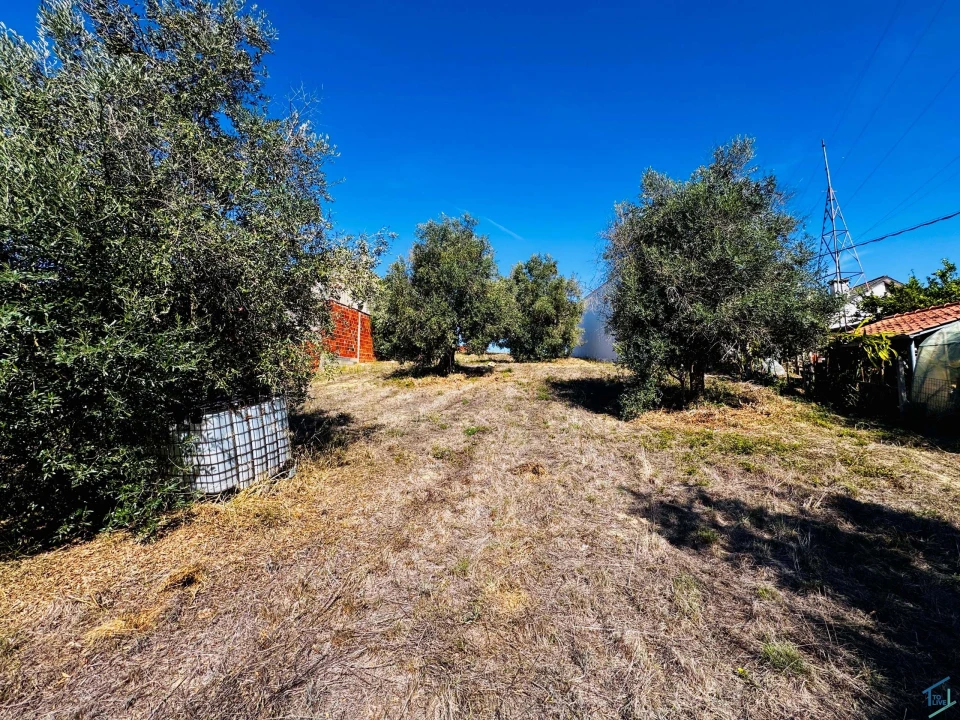 Terreno Agricola ou Rústico para Venda em Carregueiros Foto 11