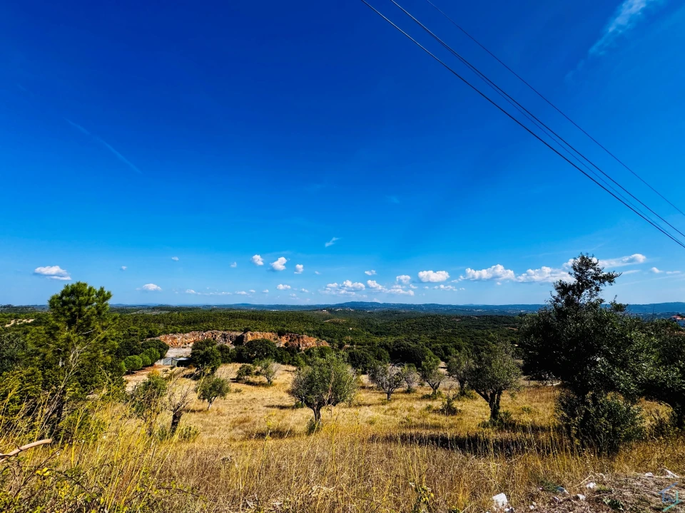 Terreno Agricola ou Rústico para Venda em Carregueiros Foto 14