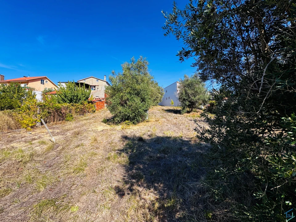 Terreno Agricola ou Rústico para Venda em Carregueiros Foto 10