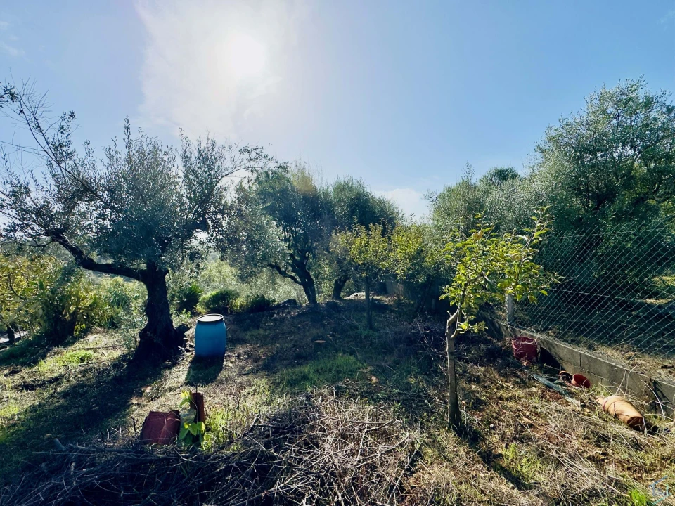 Moradia T3 para Venda em Além da Ribeira e Pedreira Foto 25