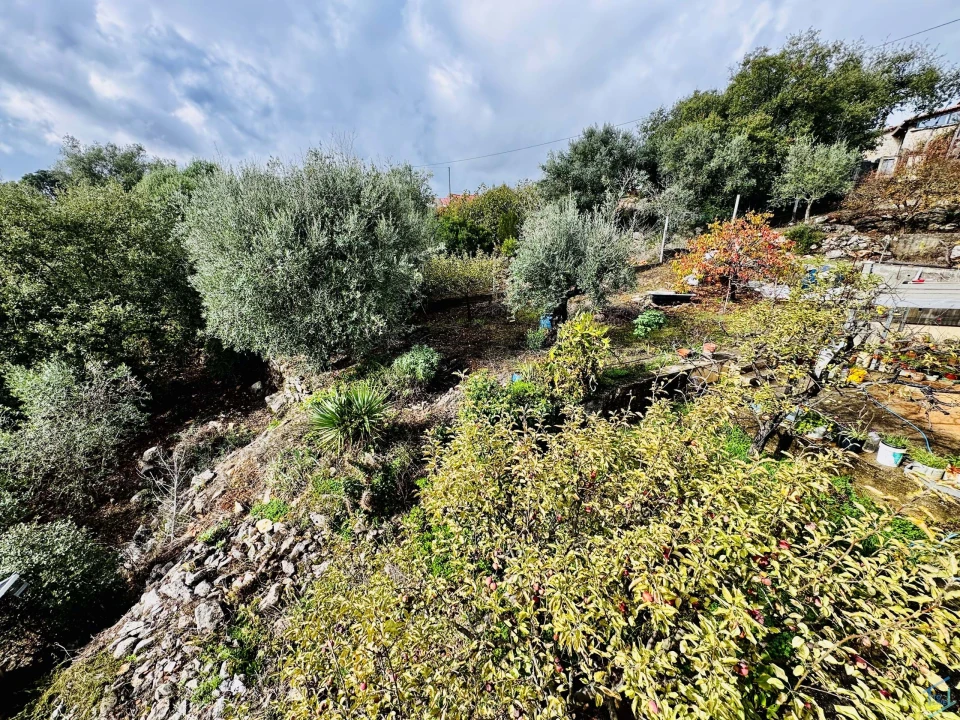 Moradia T3 para Venda em Além da Ribeira e Pedreira Foto 46