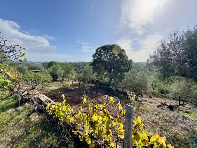 Moradia T3 para Venda em Além da Ribeira e Pedreira Foto 20