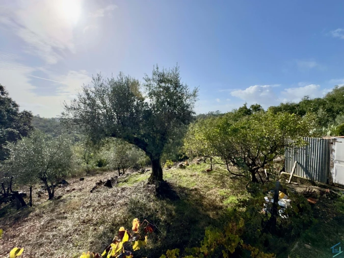 Moradia T3 para Venda em Além da Ribeira e Pedreira Foto 21