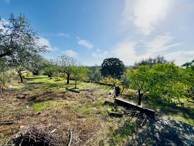 Moradia T3 para Venda em Além da Ribeira e Pedreira Foto 6